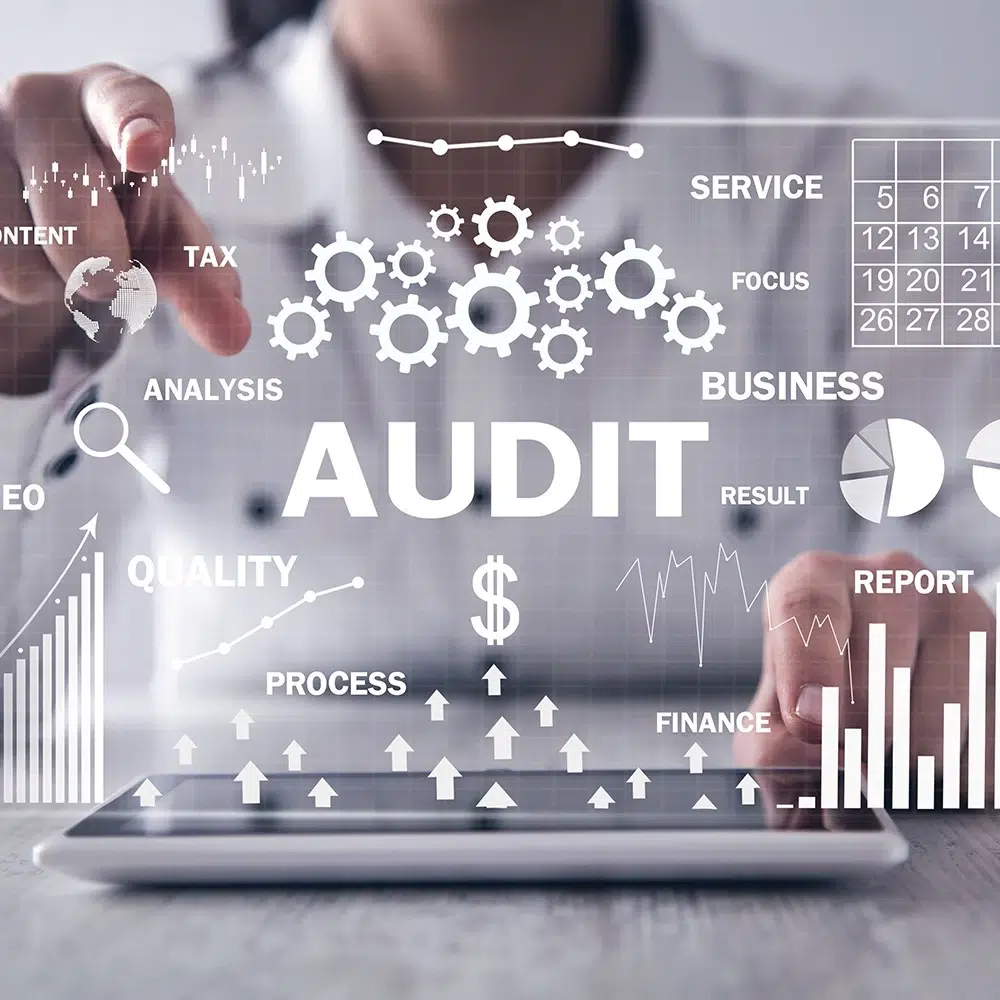 Audit Erp