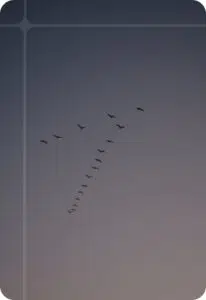 Migration de données
