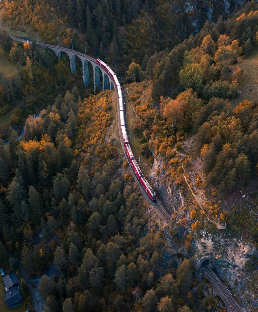 Train qui passe sur un pont de rails dans la forêt